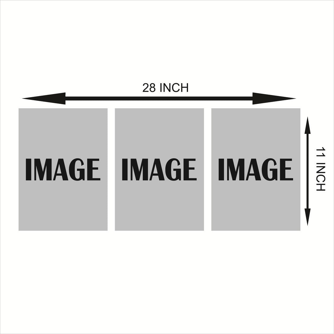 Multicolor Abstract Art Wall Frame - Set of 3 Pcs